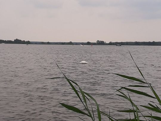 Plauer See (Brandenburg/Havel)-3
