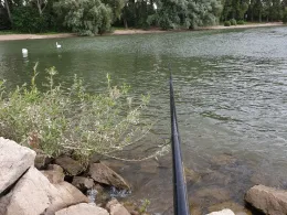 Rhein (Niederkassel)