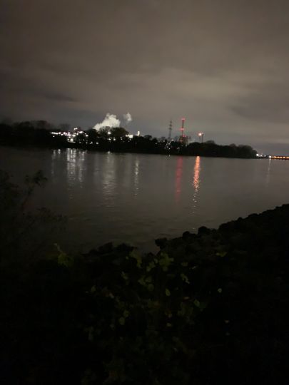 Rhein (Niederkassel)-4
