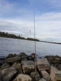 Rhein (Niederkassel)-2