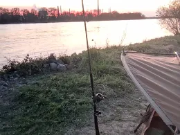 Rhein (Niederkassel)-4