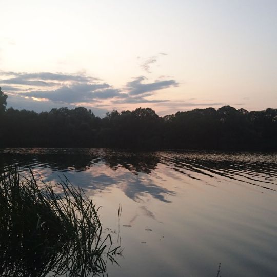 Pinnower See (Gerswalde) angeln