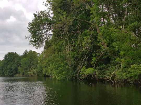 Pinnower See (Gerswalde)-1