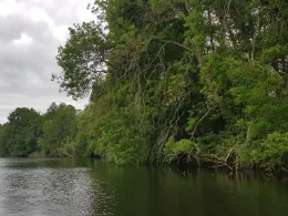 Pinnower See (Gerswalde)-1