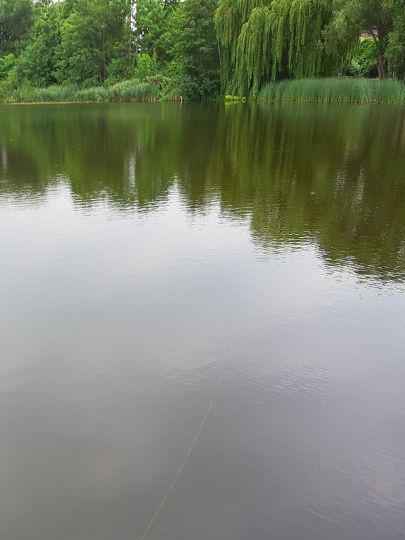 Mühlenteich (Wismar)-2