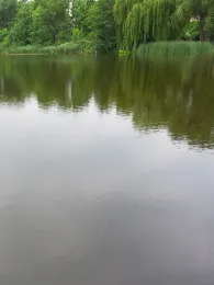 Mühlenteich (Wismar)-2