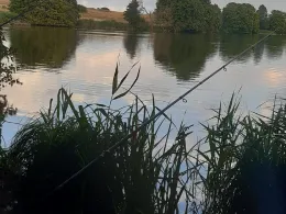 Mühlenteich (Wismar)-3