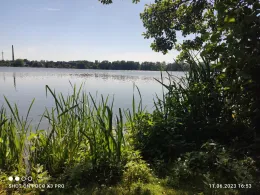 Mühlenteich (Wismar)-4