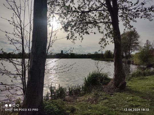 Mühlenteich (Wismar)-5