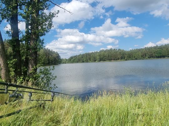 Seidlersreuther Weiher-2