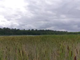 Schwarzer See (Cammin)