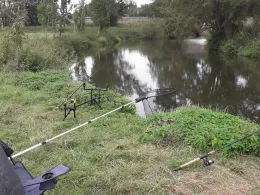 Roter Main (Kulmbach)