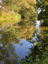 Roter Main (Kulmbach)-1