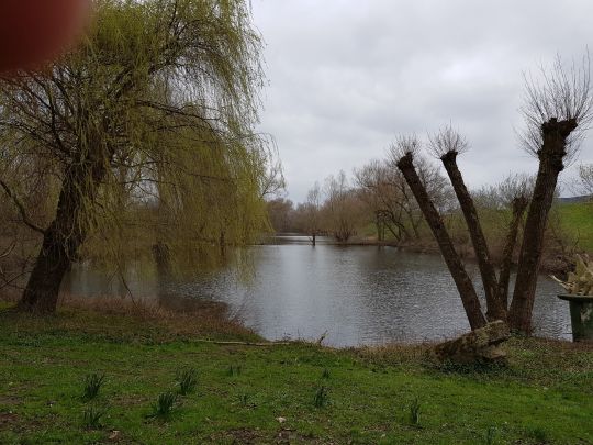 Binnengewässer Porz-Langel-2