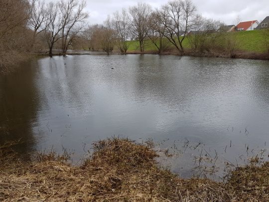 Binnengewässer Porz-Langel-3