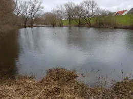 Binnengewässer Porz-Langel-3