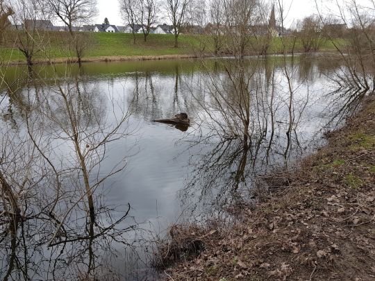 Binnengewässer Porz-Langel-1