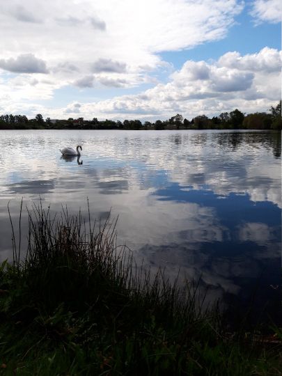 Kiessee Königsecke (Geratal Kies)-4