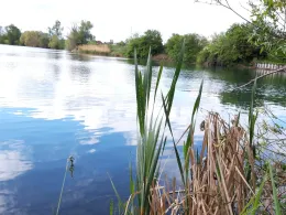 Kiessee Königsecke (Geratal Kies)-2