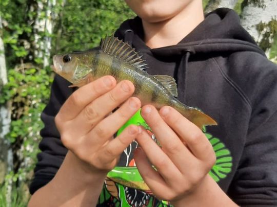 3 Tongruben Altenbach