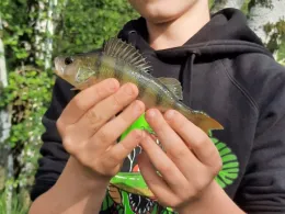 3 Tongruben Altenbach