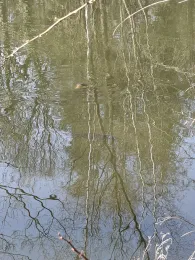 Centerparcs Erperheide-3