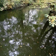 Centerparcs Erperheide-1