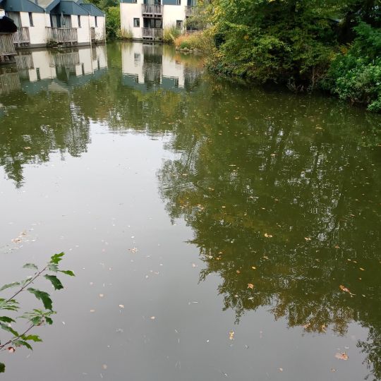 Centerparcs Erperheide-2