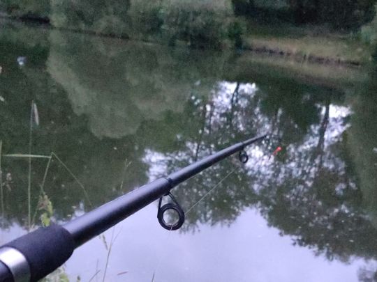 Kiesgrube Einhausen-1