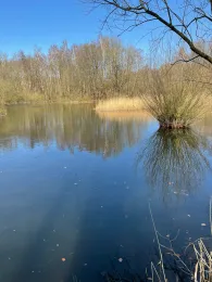 Kiesgrube (Vinzier)-2