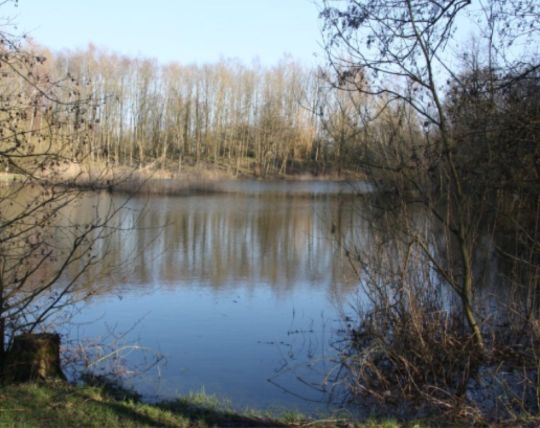 Kiesgrube (Vinzier)-1