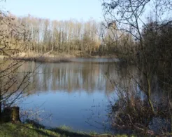 Kiesgrube (Vinzier)-1