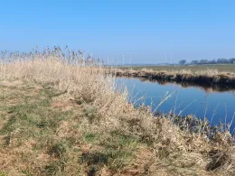 Brocklandsau (Süderheistedt)-2