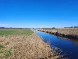 Brocklandsau (Süderheistedt)-3