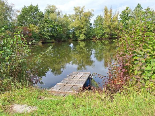Baggerweiher Auhof-1