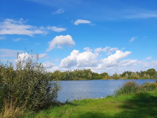 Knüwesee (Wadersloh)-1