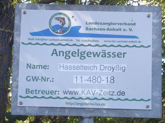 Hasselteich (Droyßig)-3