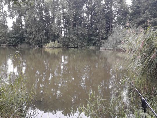 Hasselteich (Droyßig)