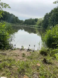 Hasselteich (Droyßig)-1