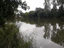 Hasselteich (Droyßig)-2