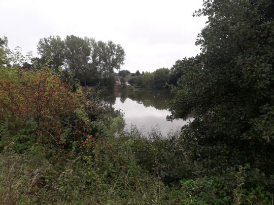 Hasselteich (Droyßig)-1