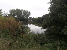 Hasselteich (Droyßig)-1