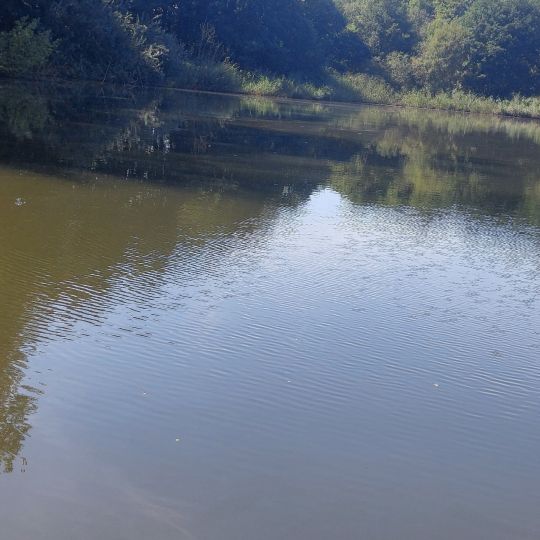 Hasselteich (Droyßig)-4