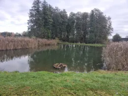 Brookbuschteich (Immekath)