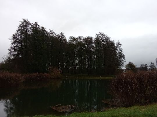 Brookbuschteich (Immekath)-1