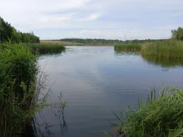Auensee (Holzweißig)