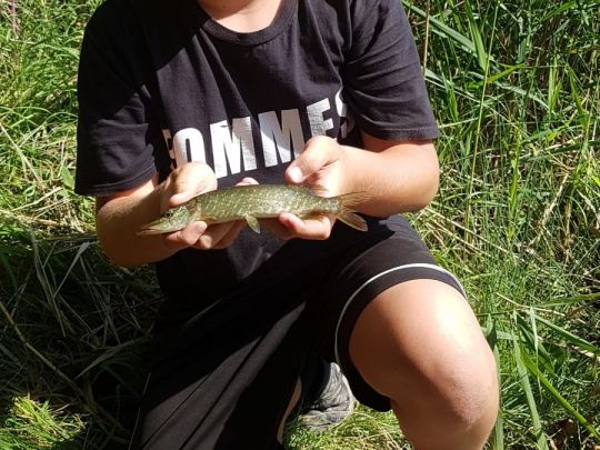 Pelzteich (Görzig)-1