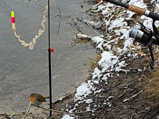 Kartoffelhafen Dresden-4