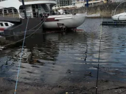 Kartoffelhafen Dresden-3