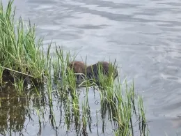 Kartoffelhafen Dresden-2